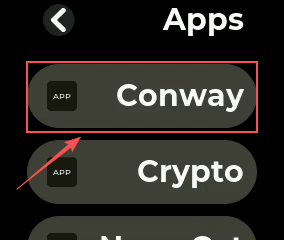 选择并启动已安装的 APP