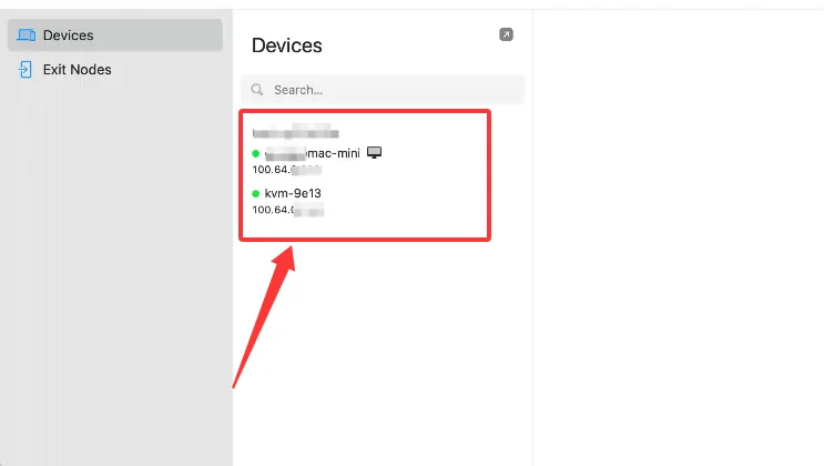 Devices list in the Tailscale client on the client device