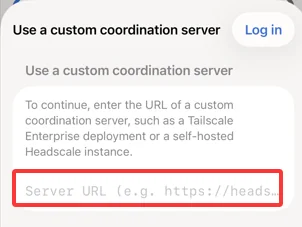 Enter the custom server address in the Tailscale iOS app