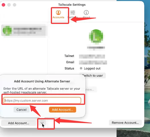 Add a custom control server in the Tailscale macOS app