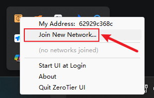 在 ZeroTier 客户端中加入网络