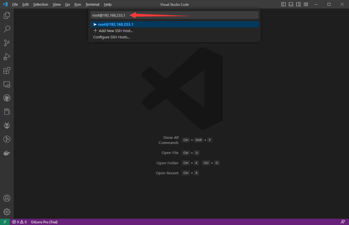vscode_ssh_connect_example_ip