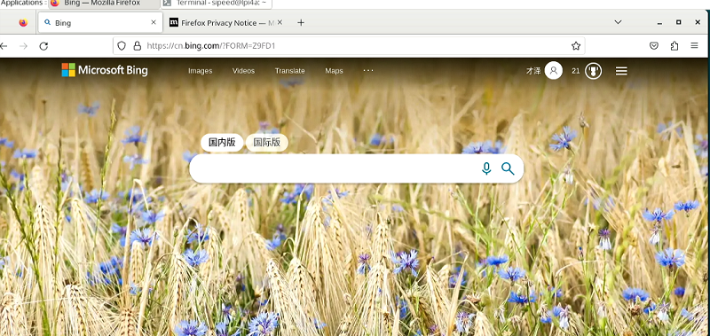 browser_bing